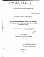 Совершенствование подходов к управлению товарными запасами в современных условиях хозяйствования - тема диссертации по экономике, скачайте бесплатно в экономической библиотеке