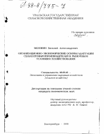 Организационно-экономические основы адаптации сельхозтоваропроизводителей к рыночным условиям хозяйствования - тема диссертации по экономике, скачайте бесплатно в экономической библиотеке