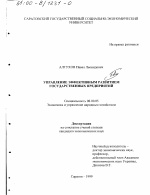 Управление эффективным развитием государственных предприятий - тема диссертации по экономике, скачайте бесплатно в экономической библиотеке