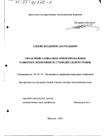 Управление социально ориентированным развитием экономики на субфедеральном уровне - тема диссертации по экономике, скачайте бесплатно в экономической библиотеке