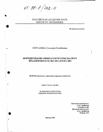 Формирование инфраструктуры малого предпринимательства в России - тема диссертации по экономике, скачайте бесплатно в экономической библиотеке