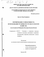 Формирование и эффективность использования трудовых ресурсов в сельском хозяйстве - тема диссертации по экономике, скачайте бесплатно в экономической библиотеке
