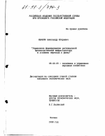 Управление формированием региональной производственной инфраструктуры в условиях перехода к рынку - тема диссертации по экономике, скачайте бесплатно в экономической библиотеке