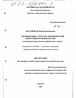 Формирование структуры экономической интеграции регионов России - тема диссертации по экономике, скачайте бесплатно в экономической библиотеке