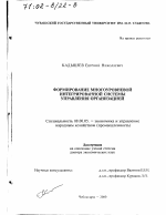 Формирование многоуровневой интегрированной системы управления организацией - тема диссертации по экономике, скачайте бесплатно в экономической библиотеке
