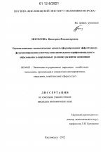 Организационно-экономические аспекты формирования эффективного функционирования системы дополнительного профессионального образования в современных условиях развития экономики - тема диссертации по экономике, скачайте бесплатно в экономической библиотеке