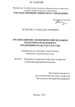Организационно-экономический механизм поддержки молодежного предпринимательства в России - тема диссертации по экономике, скачайте бесплатно в экономической библиотеке