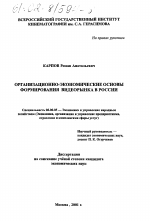 Организационно-экономические основы формирования видеорынка в России - тема диссертации по экономике, скачайте бесплатно в экономической библиотеке