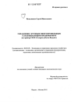 Управление крупным многопрофильным газодобывающим предприятием - тема диссертации по экономике, скачайте бесплатно в экономической библиотеке