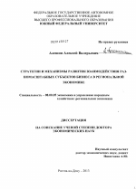 Стратегии и механизмы развития взаимодействия разномасштабных субъектов бизнеса в региональной экономике - тема диссертации по экономике, скачайте бесплатно в экономической библиотеке