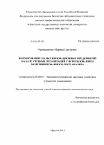 Формирование малых инновационных предприятий на базе учебных организаций с использованием модернизированного SWOT-анализа - тема диссертации по экономике, скачайте бесплатно в экономической библиотеке