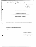Управление развитием малых промышленных предприятий в экономике региона - тема диссертации по экономике, скачайте бесплатно в экономической библиотеке