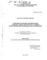 Совершенствование формирования субфедеральных бюджетов в условиях реформирования межбюджетных отношений - тема диссертации по экономике, скачайте бесплатно в экономической библиотеке