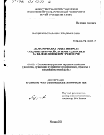 Экономическая эффективность создания цифровой системы радиосвязи на железнодорожном транспорте - тема диссертации по экономике, скачайте бесплатно в экономической библиотеке