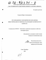 Организационно-экономические механизмы инвестирования в развитие и реализацию человеческого капитала - тема диссертации по экономике, скачайте бесплатно в экономической библиотеке