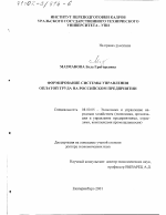 Формирование системы управления оплатой труда на российском предприятии - тема диссертации по экономике, скачайте бесплатно в экономической библиотеке