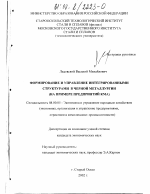 Формирование и управление интегрированными структурами в черной металлургии - тема диссертации по экономике, скачайте бесплатно в экономической библиотеке