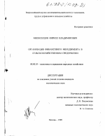 Организация финансового менеджмента в сельскохозяйственном предприятии - тема диссертации по экономике, скачайте бесплатно в экономической библиотеке