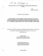 Адаптация управления социальным доходом предприятий автомобильной промышленности к условиям рыночной системы хозяйствования - тема диссертации по экономике, скачайте бесплатно в экономической библиотеке