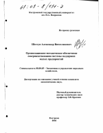 Организационно-методическое обеспечение совершенствования системы поддержки малых предприятий - тема диссертации по экономике, скачайте бесплатно в экономической библиотеке