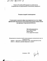 Становление и развитие форм предпринимательства в сфере финансовой деятельности на региональном рынке ценных бумаг - тема диссертации по экономике, скачайте бесплатно в экономической библиотеке