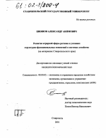 Развитие аграрной сферы региона в условиях структурно-функциональных изменений в системах хозяйства - тема диссертации по экономике, скачайте бесплатно в экономической библиотеке