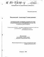 Формирование муниципальной системы поддержки малого предпринимательства - тема диссертации по экономике, скачайте бесплатно в экономической библиотеке