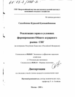 Реализация зерна в условиях формирования Общего аграрного рынка СНГ - тема диссертации по экономике, скачайте бесплатно в экономической библиотеке