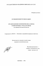 Организационно-экономические аспекты развития рынка труда в регионе - тема диссертации по экономике, скачайте бесплатно в экономической библиотеке