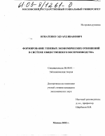 Формирование теневых экономических отношений в системе общественного воспроизводства в современных условиях хозяйствования - тема диссертации по экономике, скачайте бесплатно в экономической библиотеке