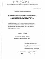 Формирование рыночного механизма функционирования сферы жилищно-коммунальных услуг - тема диссертации по экономике, скачайте бесплатно в экономической библиотеке
