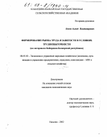 Формирование рынка труда и занятости в условиях трудоизбыточности - тема диссертации по экономике, скачайте бесплатно в экономической библиотеке