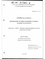 Формирование трудового потенциала региона - тема диссертации по экономике, скачайте бесплатно в экономической библиотеке