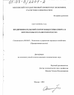 Предпринимательский сектор в индустрии спорта и перспективы его развития в России - тема диссертации по экономике, скачайте бесплатно в экономической библиотеке