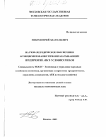 Научно-методическое обеспечение функционирования зернообрабатывающих предприятий АПК в условиях рисков - тема диссертации по экономике, скачайте бесплатно в экономической библиотеке