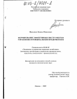 Формирование эффективных инструментов управления муниципальным предприятием - тема диссертации по экономике, скачайте бесплатно в экономической библиотеке