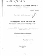 Формирование стратегии экономической безопасности предпринимательских структур - тема диссертации по экономике, скачайте бесплатно в экономической библиотеке