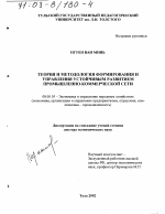 Теория и методология формирования и управления устойчивым развитием промышленно-коммерческой сети - тема диссертации по экономике, скачайте бесплатно в экономической библиотеке