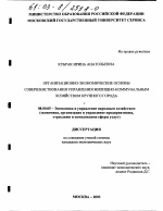 Организационно-экономические основы совершенствования управления жилищно-коммунальным хозяйством крупного города - тема диссертации по экономике, скачайте бесплатно в экономической библиотеке