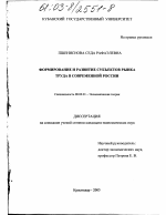 Формирование и развитие субъектов рынка труда в экономике современной России - тема диссертации по экономике, скачайте бесплатно в экономической библиотеке