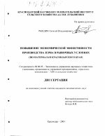 Повышение экономической эффективности производства зерна в рыночных условиях - тема диссертации по экономике, скачайте бесплатно в экономической библиотеке