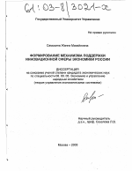 Формирование механизма поддержки инновационной сферы экономики России - тема диссертации по экономике, скачайте бесплатно в экономической библиотеке