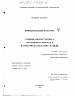 Развитие инфраструктуры пограничных переходов на российско-польской границе - тема диссертации по экономике, скачайте бесплатно в экономической библиотеке