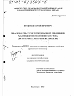 Отраслевая стратегия территориальной организации рыбопродуктового комплекса региона - тема диссертации по экономике, скачайте бесплатно в экономической библиотеке