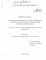 Организационно-экономические аспекты развития рынка образовательных услуг малых и средних городов - тема диссертации по экономике, скачайте бесплатно в экономической библиотеке