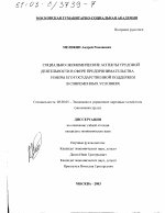 Социально-экономические аспекты трудовой деятельности в сфере предпринимательства и меры его государственной поддержки в современных условиях - тема диссертации по экономике, скачайте бесплатно в экономической библиотеке