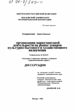 Организация маркетинговой деятельности на рынке товаров культурно-бытового и хозяйственного назначения - тема диссертации по экономике, скачайте бесплатно в экономической библиотеке