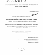 Совершенствование процесса управления в сфере культуры в условиях переходной экономики - тема диссертации по экономике, скачайте бесплатно в экономической библиотеке