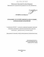 Управление стратегией развития малых и средних промышленных предприятий - тема диссертации по экономике, скачайте бесплатно в экономической библиотеке