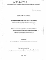 Формирование стратегических программ энергосбережения в регионах России - тема диссертации по экономике, скачайте бесплатно в экономической библиотеке